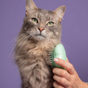 Tangle Teezer Cat Grooming Brush