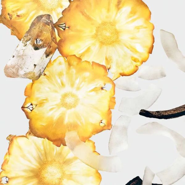 Calvin Klein CK Body Mist Silki Coconut 236 ml - Imagen 3