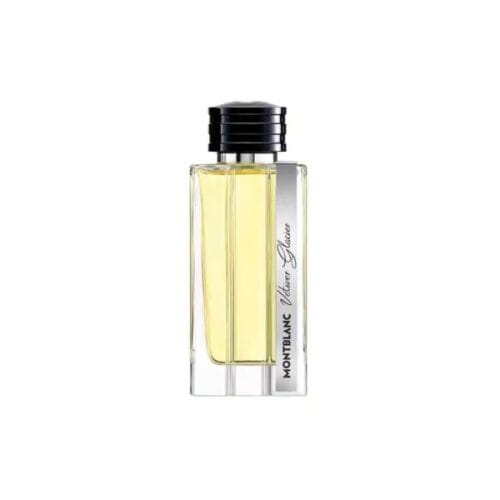 Montblanc Vetiver Glacier EDP 125 ml