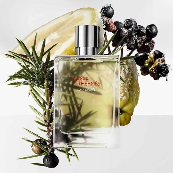 Hermes Terre d'Hermès Eau Givrée Eau de Parfum 100 ml - Imagen 3