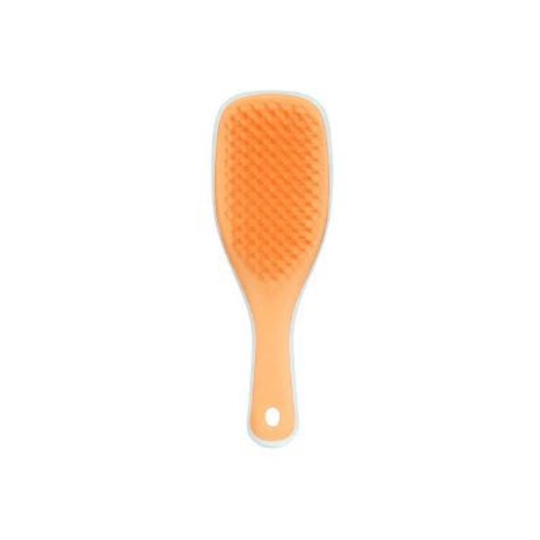 Tangle Teezer The Ultimate Detangler Mini Sweet Orange & Ice Blue